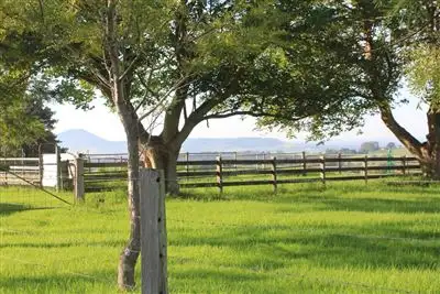 Seventh view of Homely rural property listing, 246b Martinvale Lane, Jaspers Brush NSW 2535