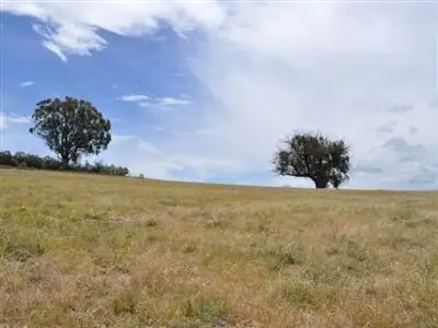 Sixth view of Homely rural property listing, 513 Reids Flat Road, Bigga NSW 2583