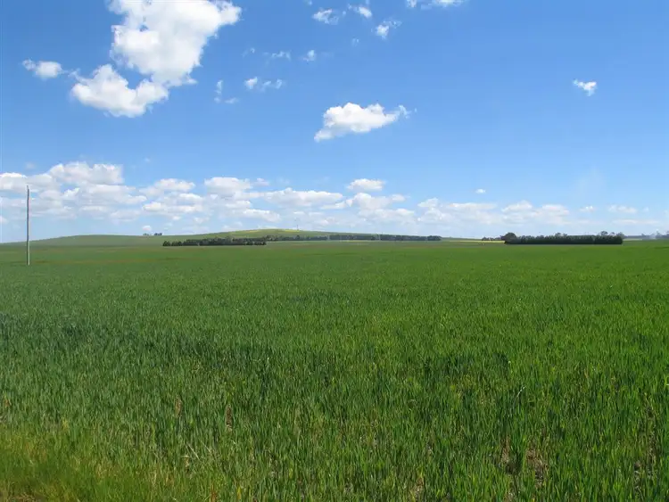 Second view of Homely rural property listing, 1435 Lismore-Pitfield Road, Wallinduc VIC 3351