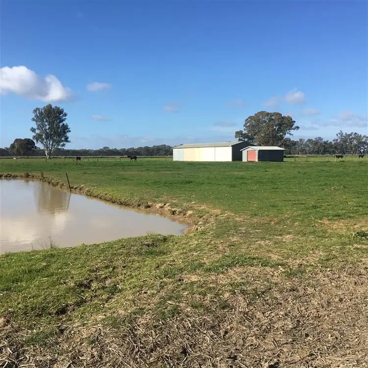 237 Looker Road, Echuca VIC 3564