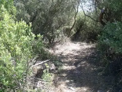 Second view of Homely rural property listing, 115 Langs Road, Robertsons Beach VIC 3971