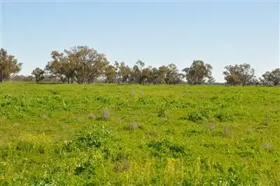 Second view of Homely rural property listing, 1 Gibsons Way, Warren NSW 2824