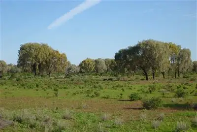 Second view of Homely rural property listing, " Windella, Nyngan NSW 2825