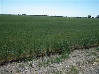 Third view of Homely rural property listing, 1340 Yulabilla Rd, Condamine QLD 4416