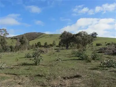 Fifth view of Homely rural property listing, 800 Telegraph Road, Seymour VIC 3660