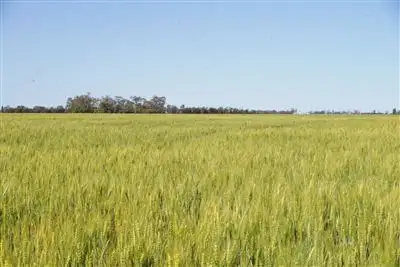 Fifth view of Homely rural property listing, . Loch Adair, Boomi NSW 2405