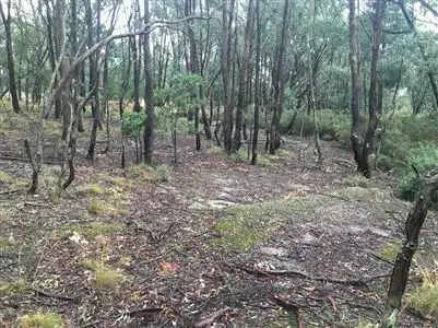 Third view of Homely land listing, CA 2 Simpson Street, Nerrina VIC 3350
