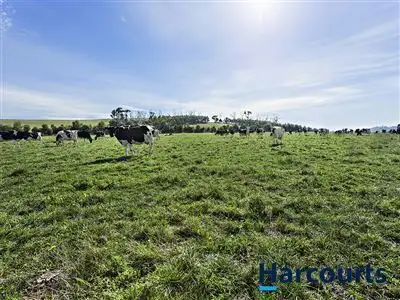 Third view of Homely rural property listing, Lot 1 Jacksons Track, Labertouche VIC 3816
