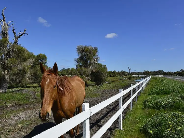 Lot 564 Dirk Hartog Drive, Nambeelup WA 6207