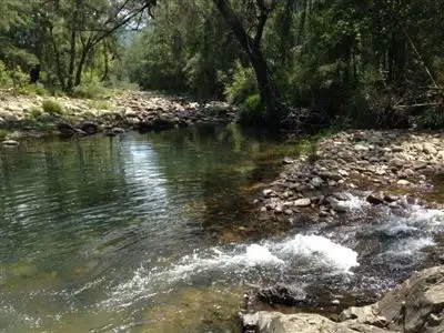 Lot/12 Forbes River Road, Forbes River NSW 2446