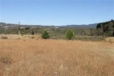 Third view of Homely rural property listing, 1575 Cooma Road, Braidwood NSW 2622
