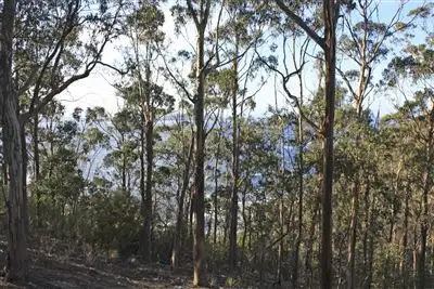 Fourth view of Homely house listing, 192 Tinderbox Road, Tinderbox TAS 7054
