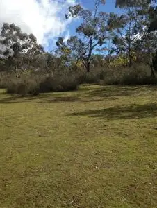 Fifth view of Homely rural property listing, Lots 30-31 Palarang Road, Merriangaah, Bombala NSW 2632