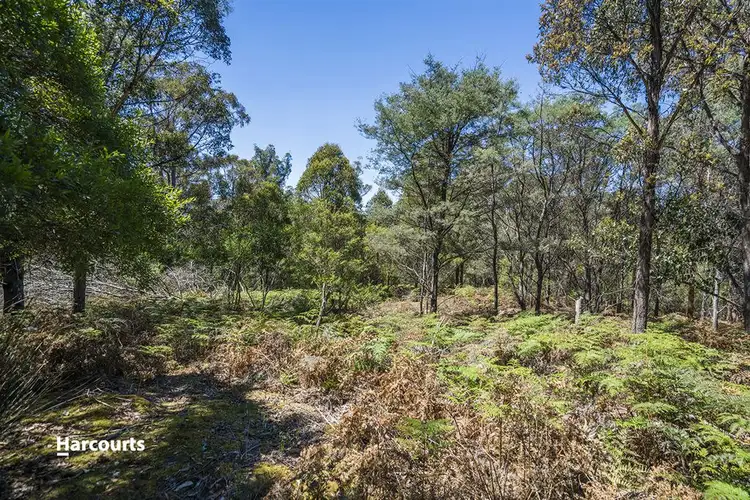 Third view of Homely land listing, Lot 1 Fyfes Road, Mountain River TAS 7109