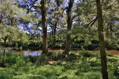 Seventh view of Homely house listing, 67 Battys Rd, Kangaroo Valley NSW 2577