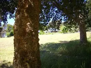Seventh view of Homely land listing, 112 Henderson Rd, Kangaroo Gully WA 6255
