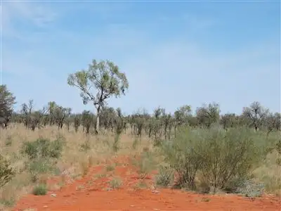 Fourth view of Homely rural property listing, Portion 6110 & 6108 Central Australia, Ti Tree NT 872