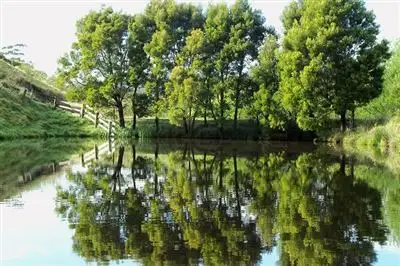 Second view of Homely rural property listing, 127 Ross Ferguson Road, Binginwarri VIC 3966