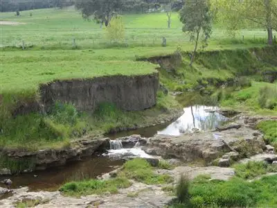 Third view of Homely rural property listing, 250 Sheans Creek Road, Euroa VIC 3666