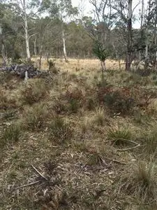 Fifth view of Homely rural property listing, Lot 201 Hereford Hall Road, Braidwood NSW 2622