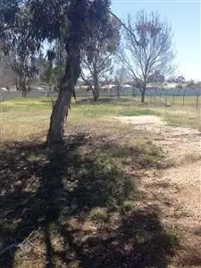 Third view of Homely land listing, 20 CHAPMAN STREET, Manilla NSW 2346