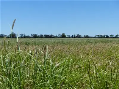 Second view of Homely rural property listing, . "Redmarley", Condamine QLD 4416