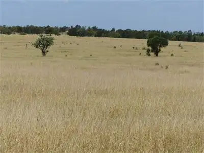 Seventh view of Homely rural property listing, Address available on request