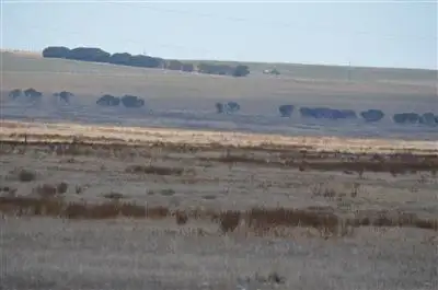 Main view of Homely rural property listing, 231 Kepa Road, Murray Bridge SA 5253