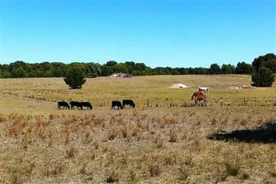 Fourth view of Homely land listing, Lot 51 McBeath Street, Hindmarsh Island SA 5214