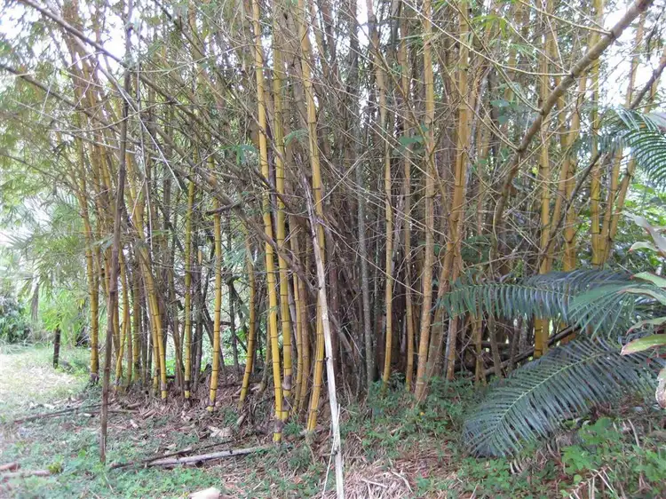 Sixth view of Homely rural property listing, Address available on request