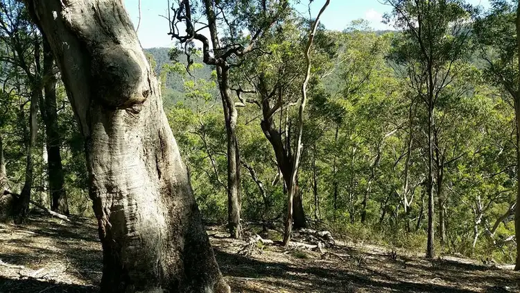 Second view of Homely rural property listing, 4273 Araluen Road Merricumbene, Araluen NSW 2622