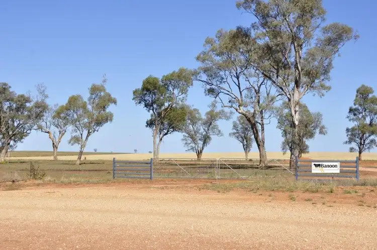 Main view of Homely rural property listing, "Banoon ", Nyngan NSW 2825