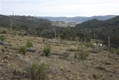 Third view of Homely rural property listing, L242/2005 Queens Pinch Road, Meroo, Mudgee NSW 2850