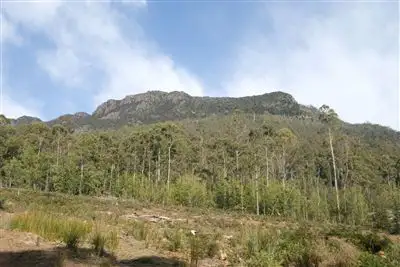 13175 Highland Lakes Road, Golden Valley TAS 7304