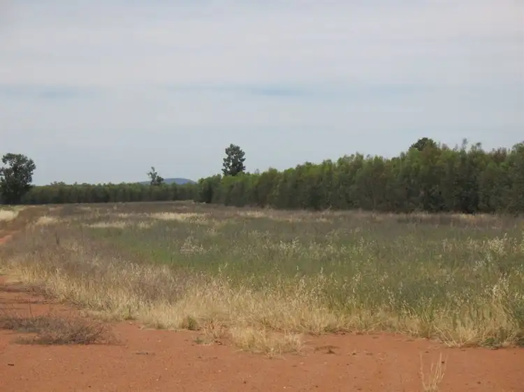 Main view of Homely rural property listing, . Talganna, Ungarie NSW 2669