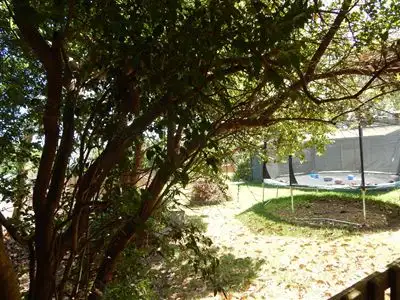 Seventh view of Homely house listing, 10 Heron Close, Blind Bight VIC