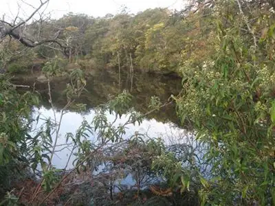 Fourth view of Homely rural property listing, - Lanka Road, Pioneer TAS 7264