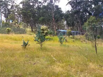 Third view of Homely land listing, 217 Grices Road, Tea Tree TAS 7017