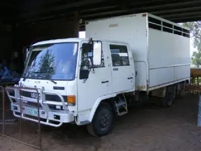 Sixth view of Homely rural property listing, 1337 Burncluth Hall Road, Burncluith QLD 4413