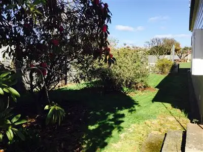 Third view of Homely house listing, 19 William Street, Scottsdale TAS 7260