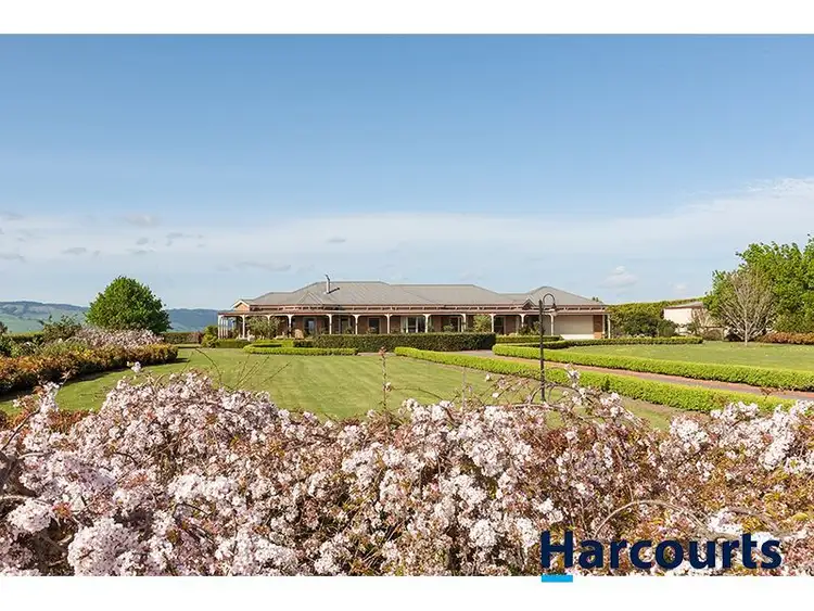 Second view of Homely rural property listing, 330 Stuhrs Road, Darnum VIC 3822