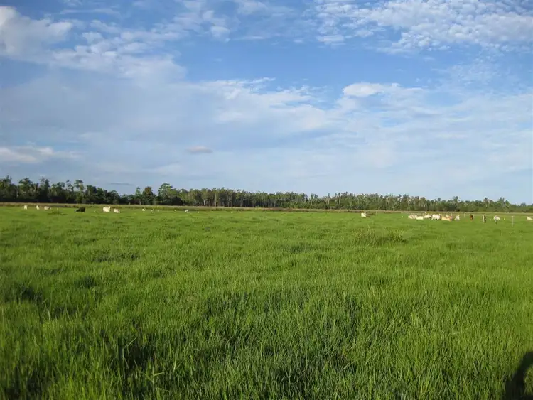 Main view of Homely rural property listing, 0 Rockingham Road, Rockingham QLD 4854