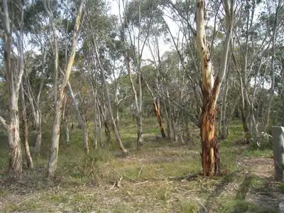 Third view of Homely rural property listing, 1577 (L2) Cooma Road, Braidwood NSW 2622