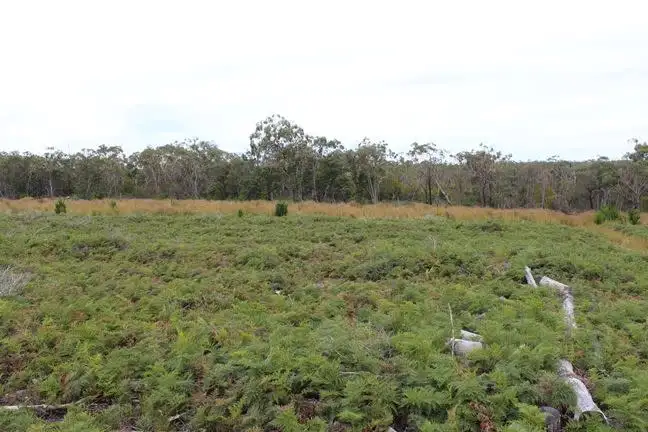 Seventh view of Homely rural property listing, 1 Dwyers Road, Merino VIC 3310