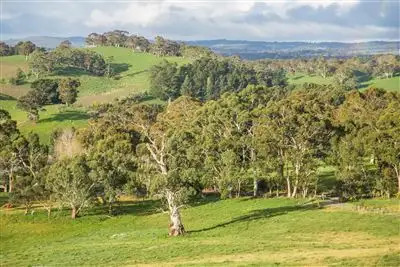 Second view of Homely house listing, 129 Swamp Road, Balhannah SA 5242