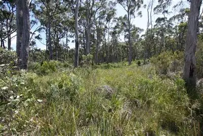 Fourth view of Homely land listing, 5136 Channel Highway, Gordon TAS 7150