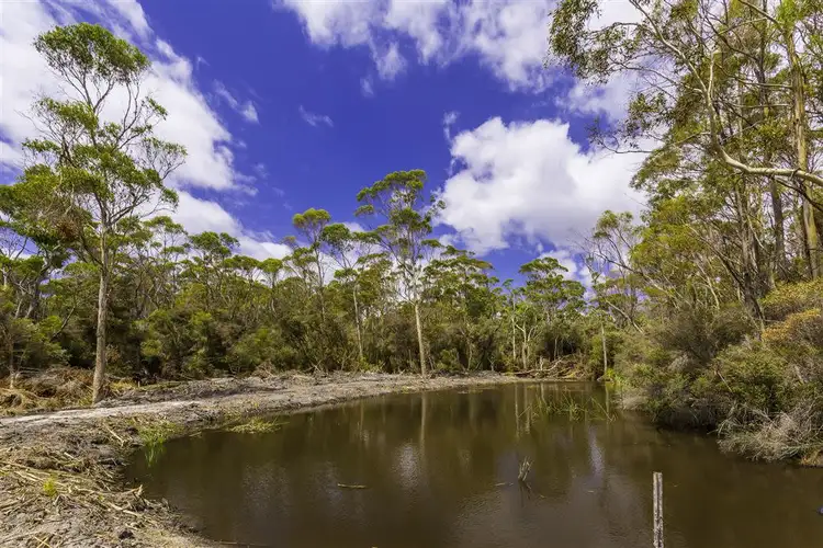 Third view of Homely rural property listing, 1262 Bridport Road, Bridport TAS 7262