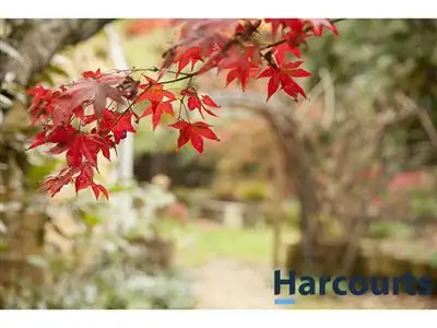 Fifth view of Homely house listing, 320 Korumburra-Warragul Road, Warragul VIC 3820