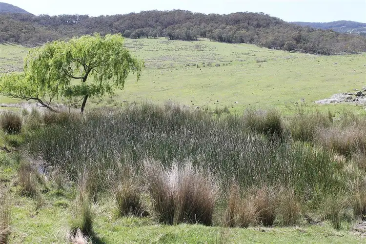 Fifth view of Homely rural property listing, 728 Kain Cross Road, Hereford Hall via, Braidwood NSW 2622