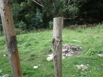 Fifth view of Homely rural property listing, 1300 Whitelaws Track, Tarra Valley VIC 3971